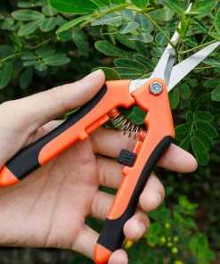 1pcs Gardening Scissors Stainless Steel Garden Branch Pruning for Tree Shears Fruit Picking Scissor Weed Potted Flower Pruners 3