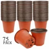 75Pcs Flexible Plant Nursery Pots Seed Starting Pots Plastic Flower Plant Container for Succulents Seedlings Cuttings Transplant 1