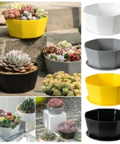 1/3/4pcs Morden Decorative Creation Flower Pots and Planter with Tray for Indoor Outdoor Garden House PlantsAfrican Variety 1