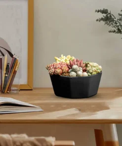 1/3/4pcs Morden Decorative Creation Flower Pots and Planter with Tray for Indoor Outdoor Garden House PlantsAfrican Variety 3