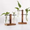 Transparent Bulb Vase with Wooden Stand Desktop Glass Planter for Hydroponics Plants Coffee Shop Room Decor 1