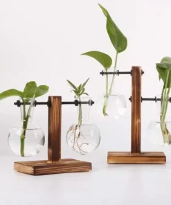 Transparent Bulb Vase with Wooden Stand Desktop Glass Planter for Hydroponics Plants Coffee Shop Room Decor 1