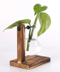 Transparent Bulb Vase with Wooden Stand Desktop Glass Planter for Hydroponics Plants Coffee Shop Room Decor 5