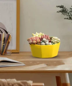 1/3/4pcs Morden Decorative Creation Flower Pots and Planter with Tray for Indoor Outdoor Garden House PlantsAfrican Variety 5