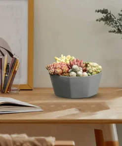 1/3/4pcs Morden Decorative Creation Flower Pots and Planter with Tray for Indoor Outdoor Garden House PlantsAfrican Variety 4