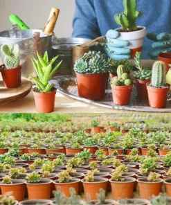 75Pcs Flexible Plant Nursery Pots Seed Starting Pots Plastic Flower Plant Container for Succulents Seedlings Cuttings Transplant 3