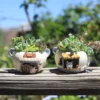 Cartoon Pet Succulent Flower Pot Office Balcony Decoration Resin Flower Pot Micro Landscape Garden Plant Pot 1