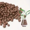 Garden Hydroponic Expanded Clay Pebbles – Organic Ceramic Oval Pellets for Pots, Planters,Orchids, Succulents, Bottom Drainage 1