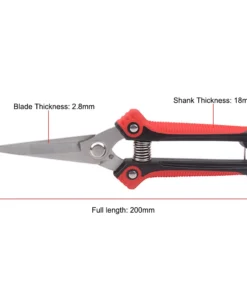 Professional Pruning Shear Branch Scissors Stainless Steel Non-Slip Garden Fruit Tree Pruning Very Sharp Garden Tools 5