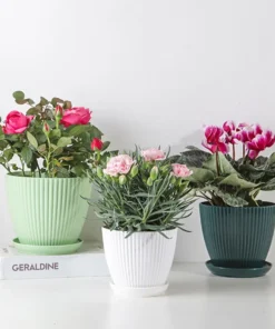 Flower Pot Round Planters Succulents Plant Pot with Tray Office Desktop Balcony Home Garden Decoration Outdoor Potted 5 Sizes 3