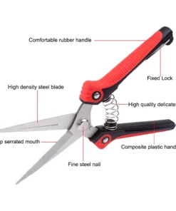 Professional Pruning Shear Branch Scissors Stainless Steel Non-Slip Garden Fruit Tree Pruning Very Sharp Garden Tools 3