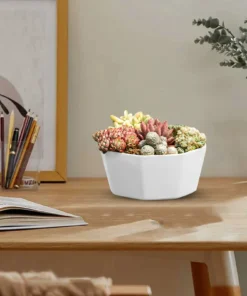 1/3/4pcs Morden Decorative Creation Flower Pots and Planter with Tray for Indoor Outdoor Garden House PlantsAfrican Variety 2