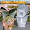Meshpot Home Decoration Clear Orchid Pots with Holes Cattleya Dendrobium Orchid Plants Pot Cachepot in 10cm 12cm 15cm 1