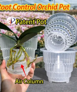 Meshpot Home Decoration Clear Orchid Pots with Holes Cattleya Dendrobium Orchid Plants Pot Cachepot in 10cm 12cm 15cm 1