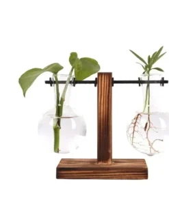 Transparent Bulb Vase with Wooden Stand Desktop Glass Planter for Hydroponics Plants Coffee Shop Room Decor 2
