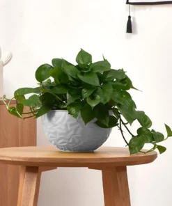 Hanging Planter Garden Flower Pots Hanging Planter Basket for Indoor Outdoor Plants with Drain Holes, White Plant Containers 1