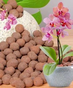 Garden Hydroponic Expanded Clay Pebbles – Organic Ceramic Oval Pellets for Pots, Planters,Orchids, Succulents, Bottom Drainage 3