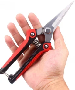 Professional Pruning Shear Branch Scissors Stainless Steel Non-Slip Garden Fruit Tree Pruning Very Sharp Garden Tools 2