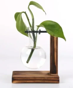 Transparent Bulb Vase with Wooden Stand Desktop Glass Planter for Hydroponics Plants Coffee Shop Room Decor 6