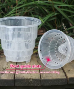 Meshpot Home Decoration Clear Orchid Pots with Holes Cattleya Dendrobium Orchid Plants Pot Cachepot in 10cm 12cm 15cm 5