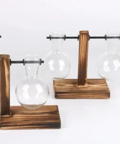 Transparent Bulb Vase with Wooden Stand Desktop Glass Planter for Hydroponics Plants Coffee Shop Room Decor 3