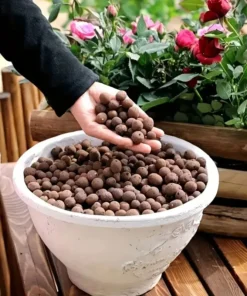 Garden Hydroponic Expanded Clay Pebbles – Organic Ceramic Oval Pellets for Pots, Planters,Orchids, Succulents, Bottom Drainage 6