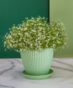 Flower Pot Round Planters Succulents Plant Pot with Tray Office Desktop Balcony Home Garden Decoration Outdoor Potted 5 Sizes 4