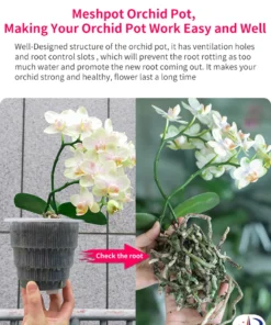 Meshpot Home Decoration Clear Orchid Pots with Holes Cattleya Dendrobium Orchid Plants Pot Cachepot in 10cm 12cm 15cm 2