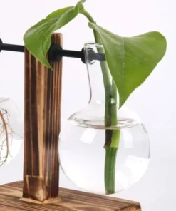Transparent Bulb Vase with Wooden Stand Desktop Glass Planter for Hydroponics Plants Coffee Shop Room Decor 4