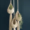 LUDA Boho Macrame Air Plant Hanger Tillandsia Hanging Basket Rope Holder Flower Home Decor 1