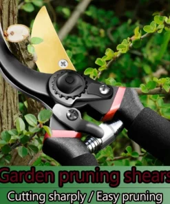 Garden floral art pruning branch scissors, fruit tree scissors, thick flower scissors, gardening scissors tools 1