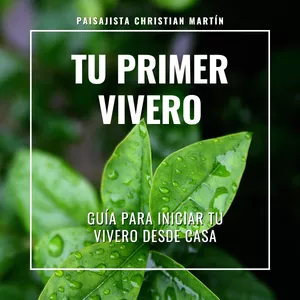 Tu Primer Vivero – Guía práctica para empezar desde cero