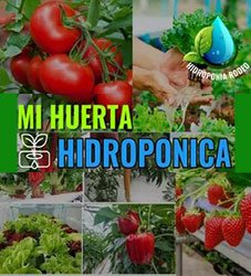 Mi Huerta HIDROPONICA