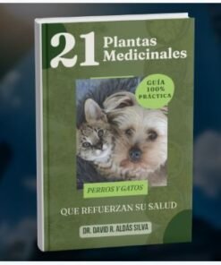 Plantas Medicinales